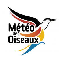 image Oiseaux_BIUUR_LEVELL_GF_SENTTIVITV_FOR_SPORTS_AND_LEISURE_SITES.png (0.3MB)